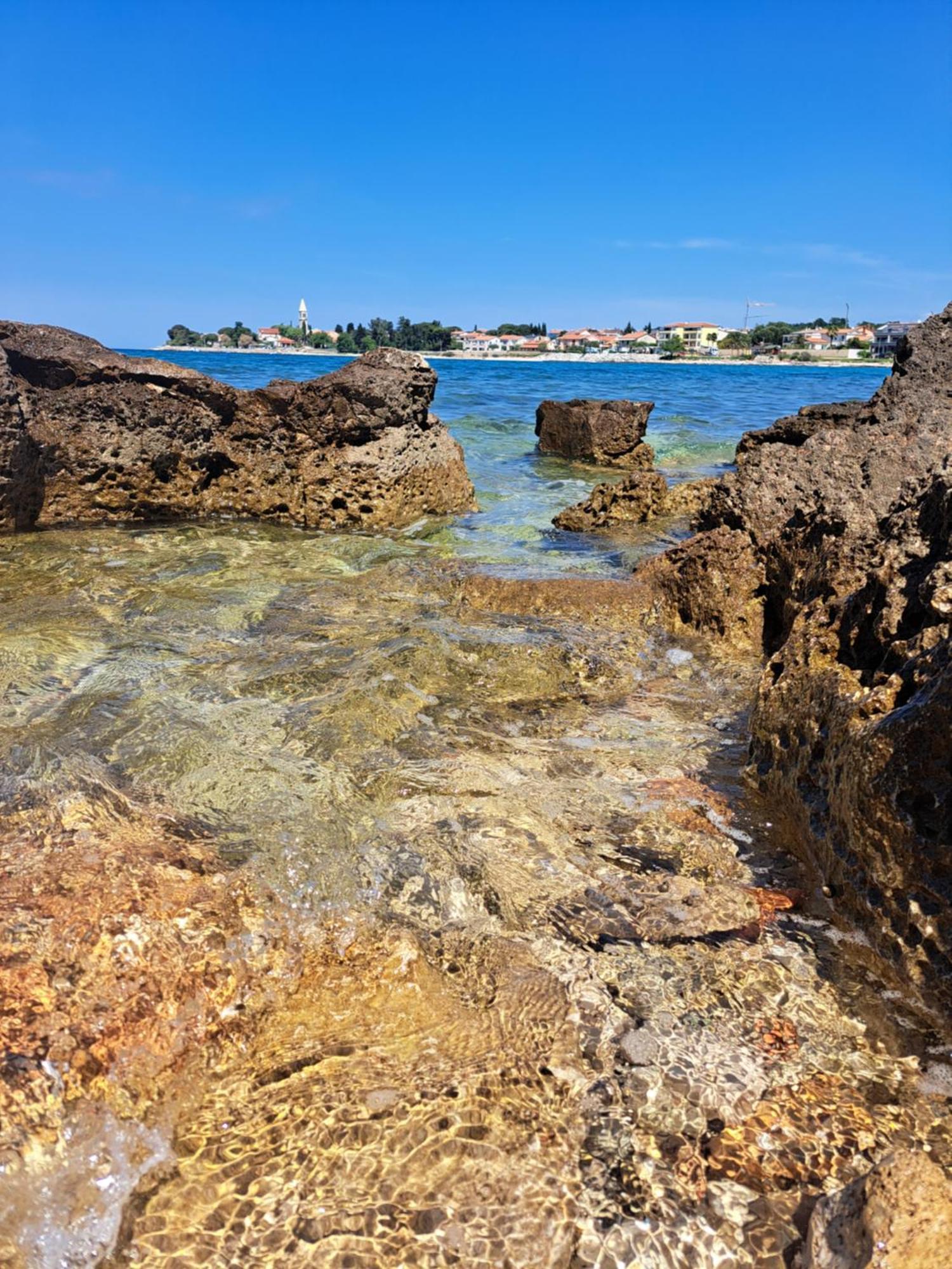 Affittacamere Sobe Anja Brtonigla Esterno foto